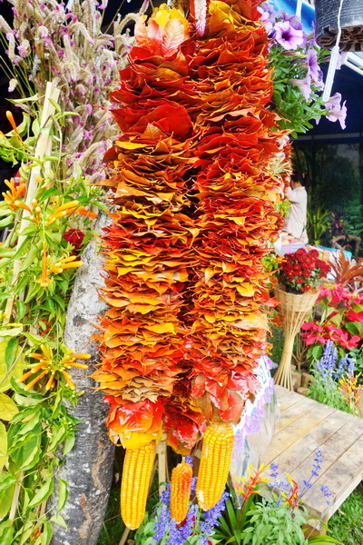 chiang mai flower festival, suan bok had