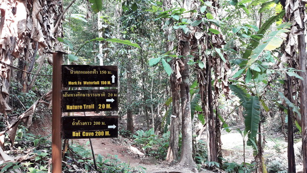 mokfa waterfall, mok fah waterfall, tour from chiang mai to pai, mok fa waterfall, mokfah waterfall