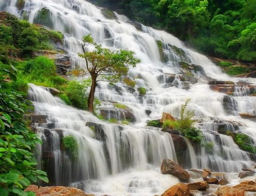 Inthanon National Park