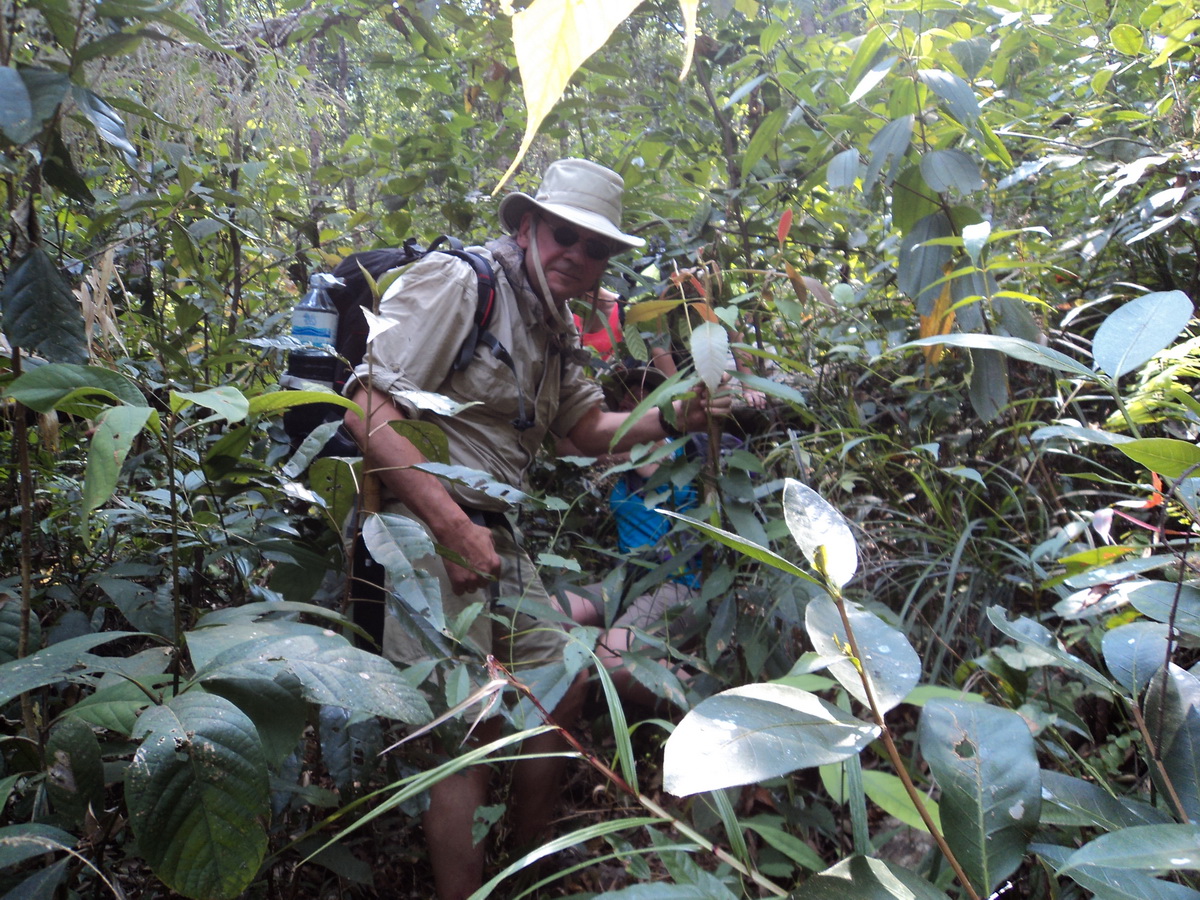 trekking doi pha ngam, hiking doi pha ngam, doi pha ngam, pha ngam cliff, doi phan gam cliff, two seasons cliff