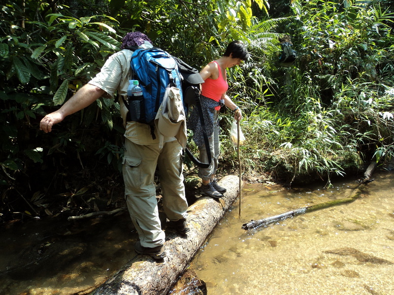 trekking doi pha ngam, hiking doi pha ngam, doi pha ngam, pha ngam cliff, doi phan gam cliff, two seasons cliff