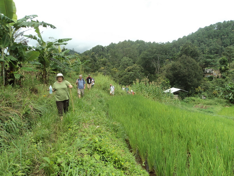 trekking doi pha ngam, hiking doi pha ngam, doi pha ngam, pha ngam cliff, doi phan gam cliff, two seasons cliff