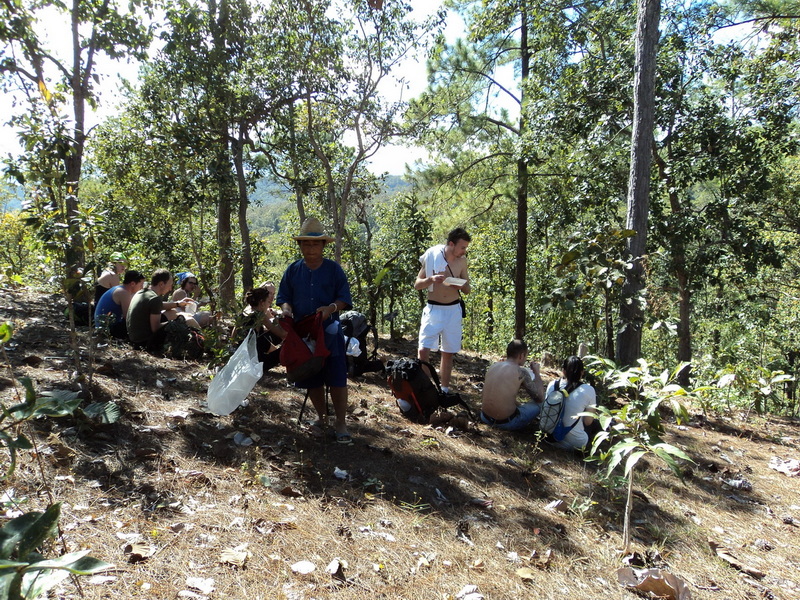 trekking doi pha ngam, hiking doi pha ngam, doi pha ngam, pha ngam cliff, doi phan gam cliff, two seasons cliff