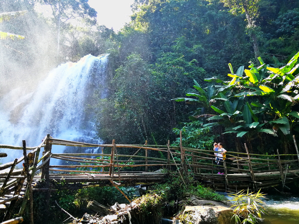 trekking pha dok siew nature trail, pha dok siew nature trail, trekking baan mae klang luang, baan mae klang luang, trekking pha dok siew, hiking pha dok siew