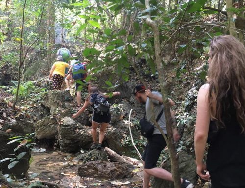 Monk Trail Trek