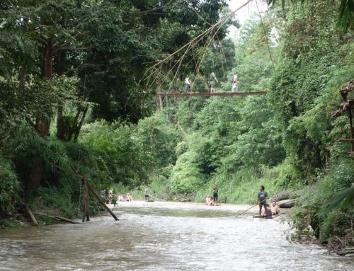 Trekking in Mae Wang
