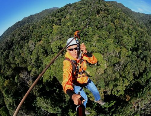 Kingkong Smile Zipline