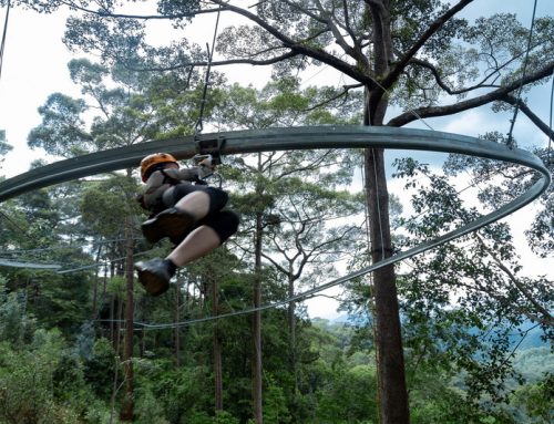 Jungle Flight Chiang Mai