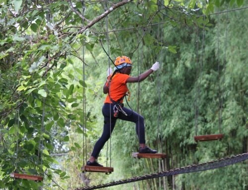 Phoenix Zipline Adventure