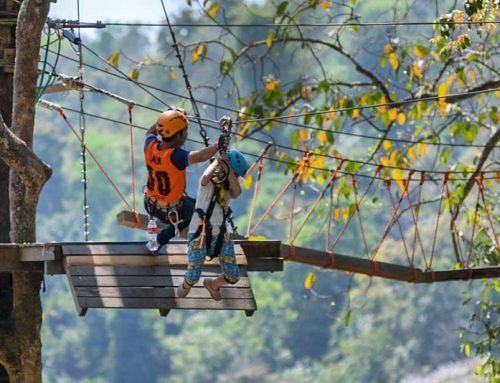 Pongyang Jungle Coaster Zipline