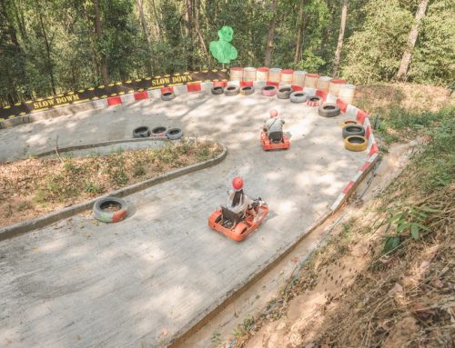 Skyline Jungle Luge