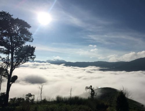 Mae Tho National Park
