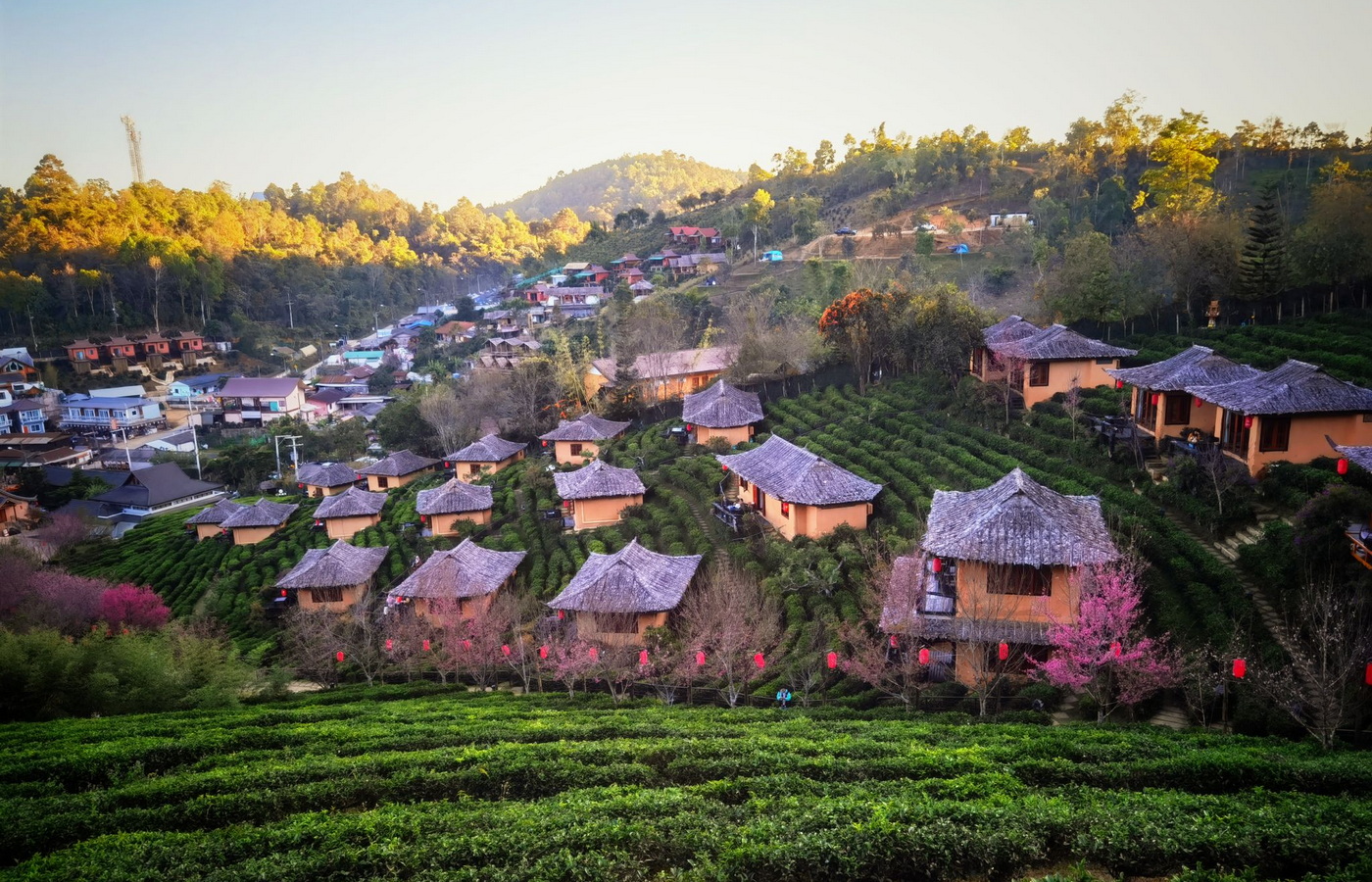 Ban Rak Thai A Misty Mountain Retreat In Mae Hong Son