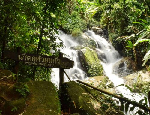 Huay Kaew Waterfall