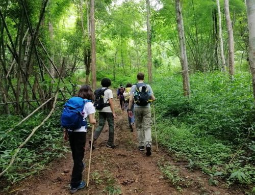 Mae Hong Son Trek14: Ban Muang Pam 2-Day Trek