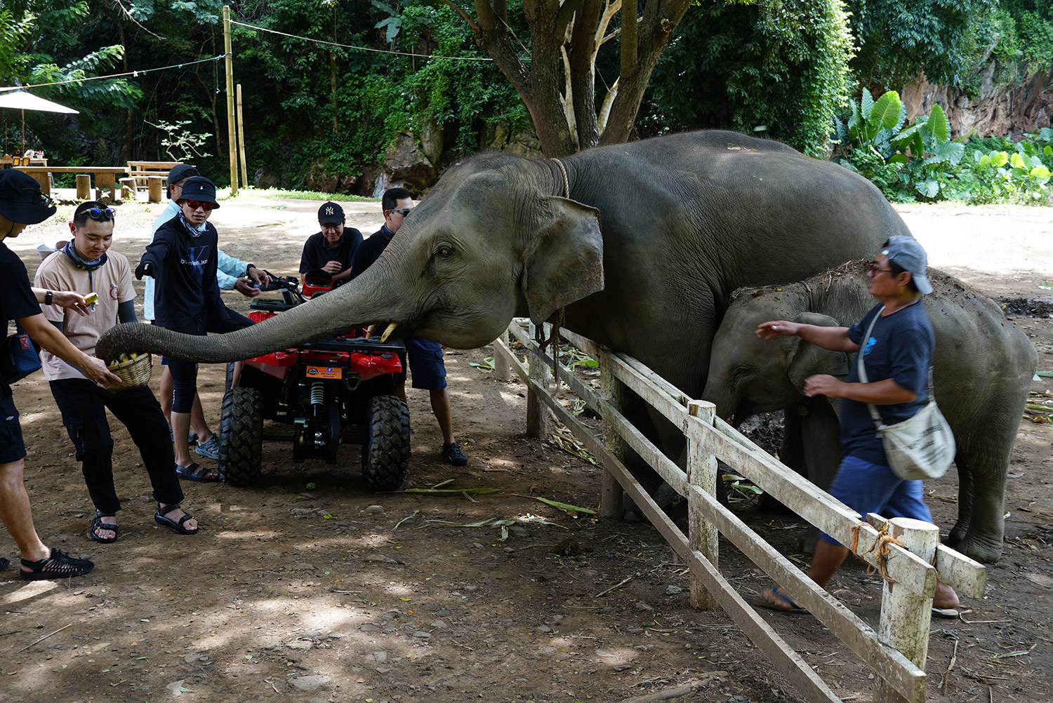 chiang mai atv, atv tour chiang mai, chiang mai atv adventure, chiang mai atv tour, atv chiang mai, atv adventure chiang mai, chiang mai off-road