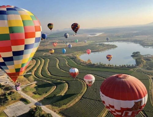 Singha Park Chiang Rai: A Complete Travel Guide