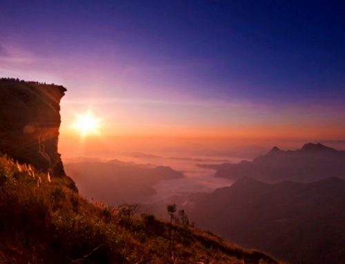 Phu Chi Fah