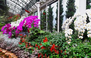 phuping palace, bhubing palace, winter palace