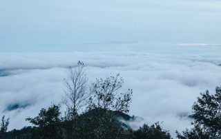 trekking doi pha ngam, pha ngam, pha ngam cliff, two season cliff, 2 season cliff, trekking at pha ngam, trekking at doi pha ngam, doi pha ngam trek