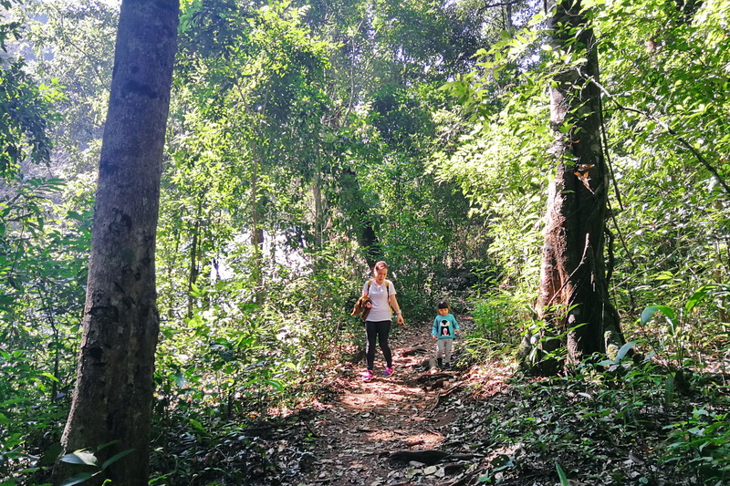 Pha Dok Siew Nature Trail