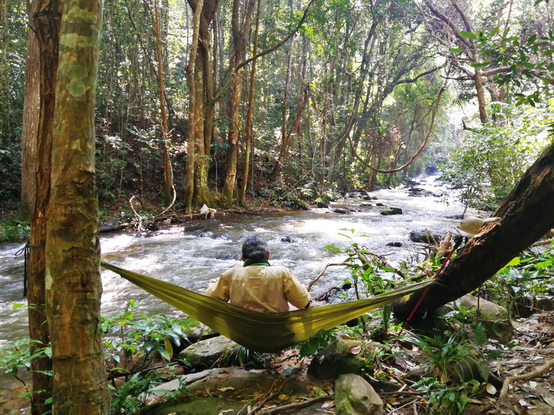 trekking pha dok siew nature trail, pha dok siew nature trail, trekking baan mae klang luang, baan mae klang luang, trekking pha dok siew, hiking pha dok siew