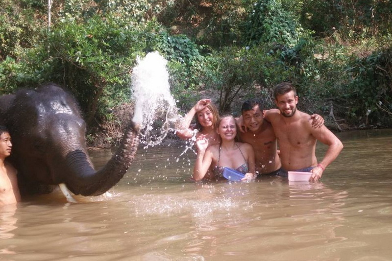 chiang mai elephant camp, best elephant camp in chiang mai, elephant camp in chiang mai