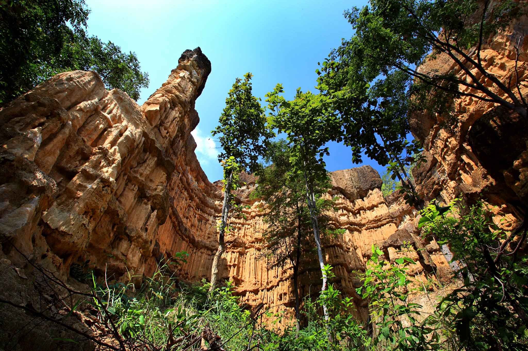 mae wang national park, maewang national park, mae-wang national park, mae-wang