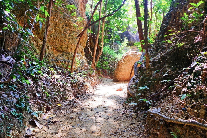 mae wang national park, maewang national park, mae-wang national park, mae-wang