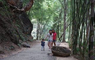 ob luang national park, obluang national park, obluang, op luang national park, opluang national park, opluang, ob luang, op luang