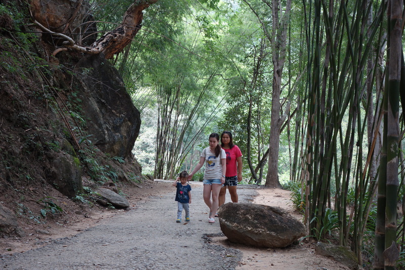 ob luang national park, obluang national park, obluang, op luang national park, opluang national park, opluang, ob luang, op luang