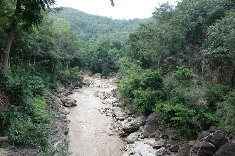 ob luang national park, obluang national park, obluang, op luang national park, opluang national park, opluang, ob luang, op luang