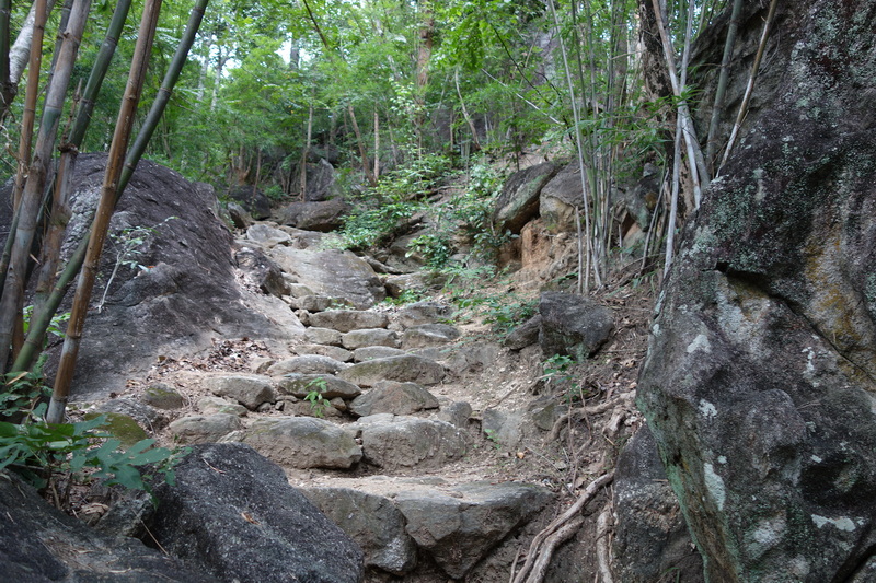 ob luang national park, obluang national park, obluang, op luang national park, opluang national park, opluang, ob luang, op luang