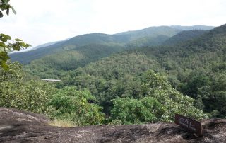 ob luang national park, obluang national park, obluang, op luang national park, opluang national park, opluang, ob luang, op luang