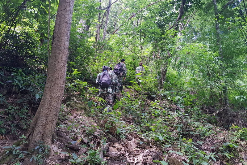 ob luang national park, obluang national park, obluang, op luang national park, opluang national park, opluang, ob luang, op luang