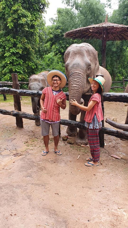 mae rim elephant home, maerim elephant home, mae rim elephant camp, maerim elephant camp, maerim elephant chiang mai, mae rim elephant chiang mai