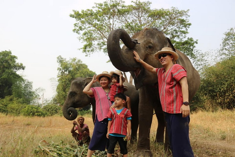 mae rim elephant home, maerim elephant home, mae rim elephant camp, maerim elephant camp, maerim elephant chiang mai, mae rim elephant chiang mai