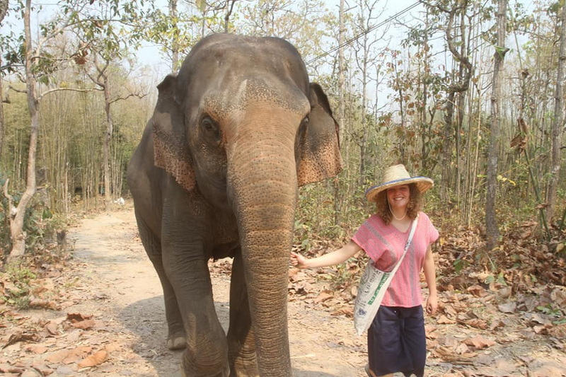 Mae Rim Elephant Home