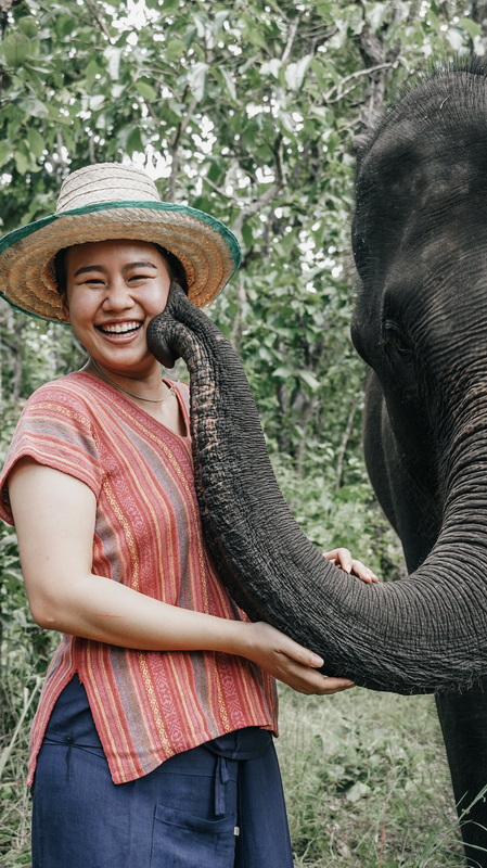 mae rim elephant home, maerim elephant home, mae rim elephant camp, maerim elephant camp, maerim elephant chiang mai, mae rim elephant chiang mai