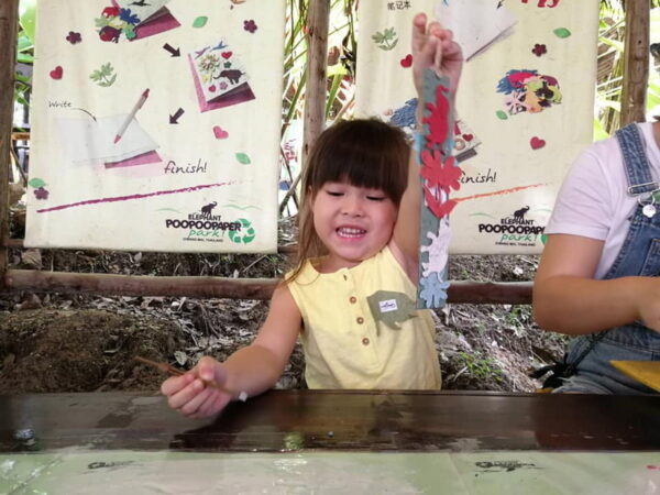 Elephant Poo Poo Paper Park: Eco-Fun in Chiang Mai