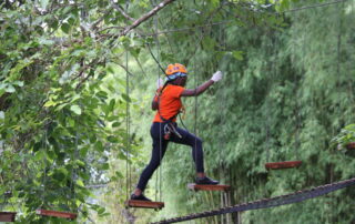 phoenix zipline adventure, phoenix zipline, phoenix zipline chiang mai, phoenix adventure park, phoenix adventure park chiang mai, phoenix adventure chiang mai