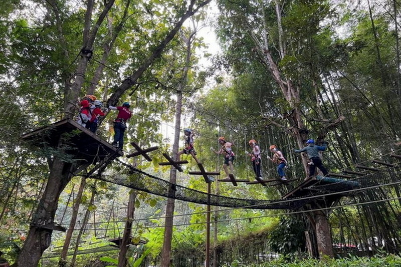 phoenix zipline adventure, phoenix zipline, phoenix zipline chiang mai, phoenix adventure park, phoenix adventure park chiang mai, phoenix adventure chiang mai