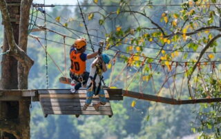 pongyang jungle coaster zipline, pongyang zipline, pongyang jungle coaster, zipline pongyang jungle coaster, zipline pongyang, pongyang