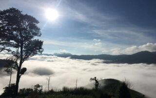 mae tho national park, maetho national park, mae tho, maetho, chiang mai national park, national park in chiang mai