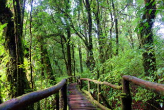 tour doi Inthanon, tour doi Inthanon national park, day tour doi Inthanon national park, budget tour doi Inthanon national park, day tour doi Inthanon, budget tour doi Inthanon, join with group tour doi Inthanon, join with group tour doi Inthanon national park