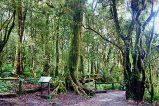 tour doi Inthanon, tour doi Inthanon national park, day tour doi Inthanon national park, budget tour doi Inthanon national park, day tour doi Inthanon, budget tour doi Inthanon, join with group tour doi Inthanon, join with group tour doi Inthanon national park