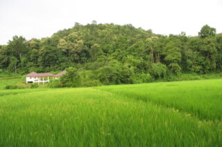 one day trek mae wang, day trek mae wang, one day terk maewang and elephant care, one day terk mae wang and elephant care, trek mae wang, trekking in mae wang