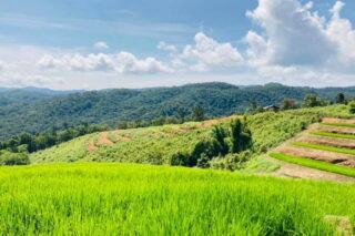 one day trek mae wang, day trek mae wang, one day terk maewang and elephant care, one day terk mae wang and elephant care, trek mae wang, trekking in mae wang