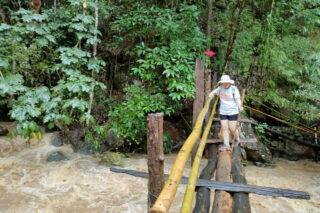 one day trek mae wang, day trek mae wang, one day terk maewang and elephant care, one day terk mae wang and elephant care, trek mae wang, trekking in mae wang