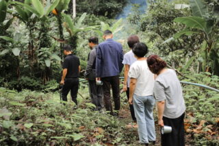 chiang mai coffee farm tour, coffee farm tour in chiang mai, chiangmai coffee farm tour, tour coffee farm chiang mai